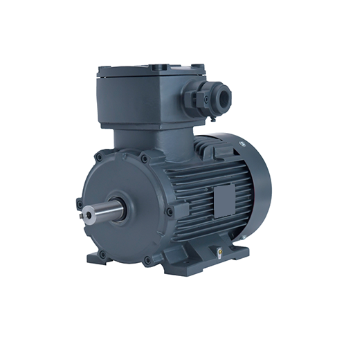 YB Series Explosion-Proof Motor