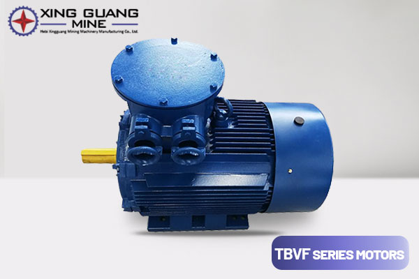 TBVF Series Explosion-Proof Permanent Magnet Synchronous Motor